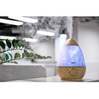 Зачем нужен увлажнитель воздуха в квартире