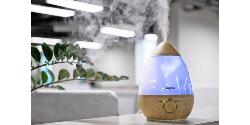 Зачем нужен увлажнитель воздуха в квартире