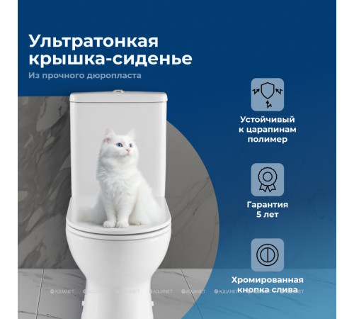 Чаша напольного унитаза Aquanet Ray-C с сиденьем Soft Close Slim Rimless 00326011