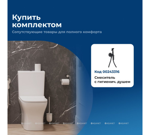 Чаша напольного унитаза Aquanet Ray-C с сиденьем Soft Close Slim Rimless 00326011