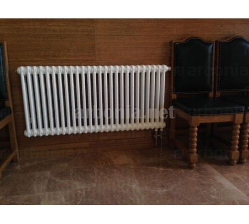 Радиатор трубчатый Arbonia 2050 32 секции боковое подключение N12 3/4 RAL 9016 2050/32 N12 3/4 RAL 9016