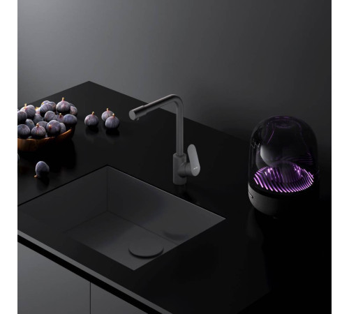 Смеситель для кухни AM.PM Like с каналом для питьевой воды L-излив черный F8005722