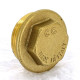 Заглушка резьбовая наружная Uni-Fitt 1 1/4 608G5000