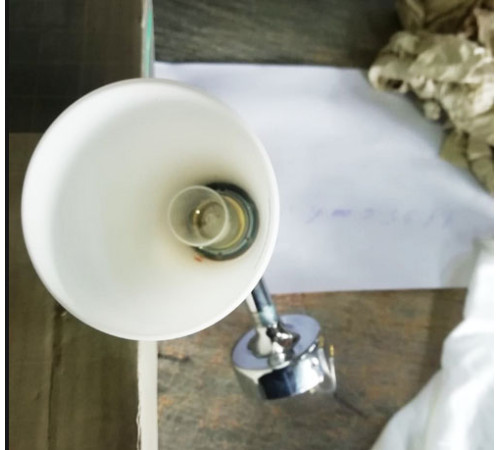 Светильник настенный AXOR Terrano хром 41356000