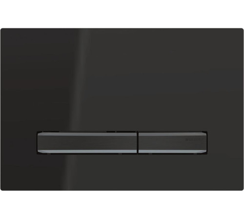 Смывная клавиша Geberit Sigma50 для двойного смыва хромированный черный 115.671.DW.2