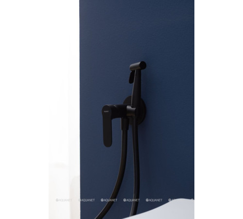 Смеситель встраиваемый с гигиеническим душем Aquanet Passion черный матовый AF300-52B
