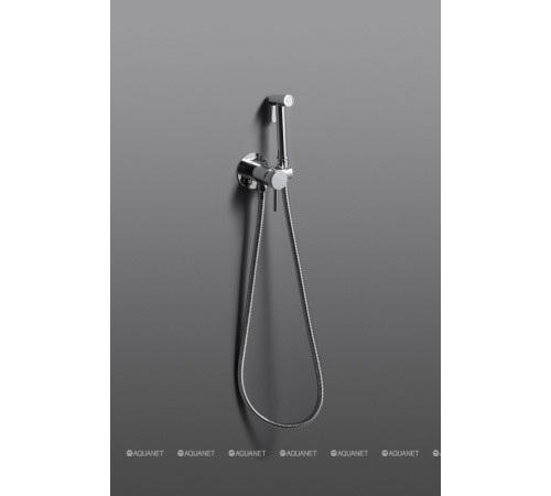 Смеситель с гигиеническим душем Allen Brau Priority 3.0 скрытый монтаж хром 5.31A29-00