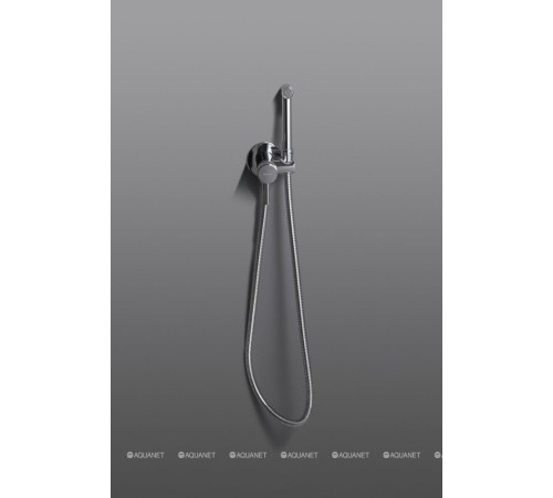 Смеситель с гигиеническим душем Allen Brau Priority 3.0 скрытый монтаж хром 5.31A29-00