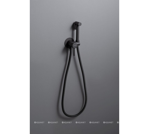 Смеситель с гигиеническим душем Allen Brau Priority 3.0 скрытый черный матовый 5.31A29-31