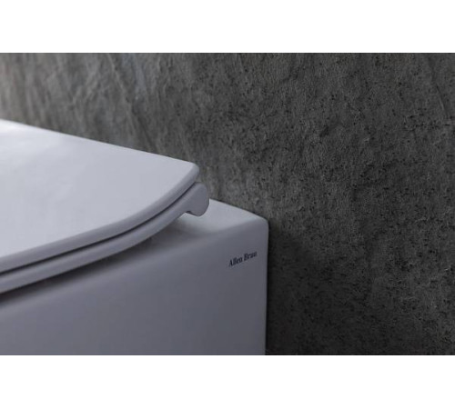 Чаша приставного унитаза Allen Brau Fantasy белый 4.11007.20