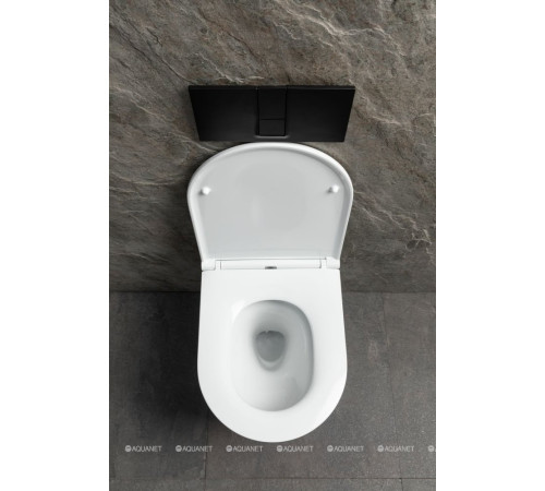 Унитаз подвесной Allen Brau Priority Tornado без сиденья 515x365 мм белый 4.31008.20