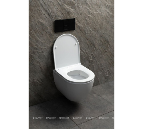 Унитаз подвесной Allen Brau Priority Tornado без сиденья 515x365 мм белый 4.31008.20