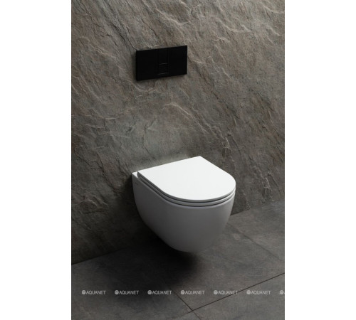 Унитаз подвесной Allen Brau Priority Tornado без сиденья 515x365 мм белый 4.31008.20