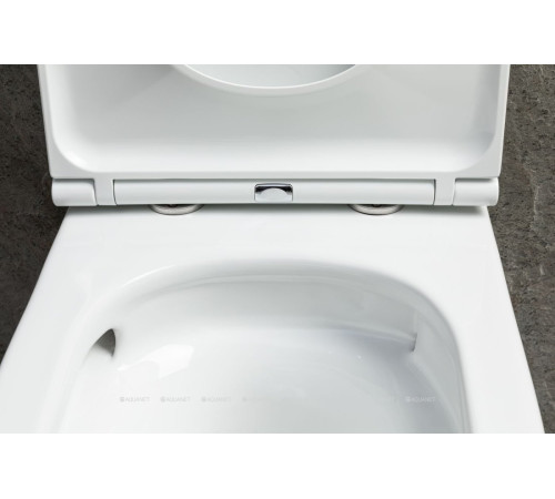 Унитаз подвесной Allen Brau Priority Tornado без сиденья 515x365 мм белый 4.31008.20