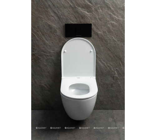 Унитаз подвесной Allen Brau Priority Tornado без сиденья 515x365 мм белый 4.31008.20