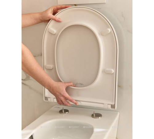 Крышка-сиденье Jacob Delafon Bastille микролифт белый E34201-00