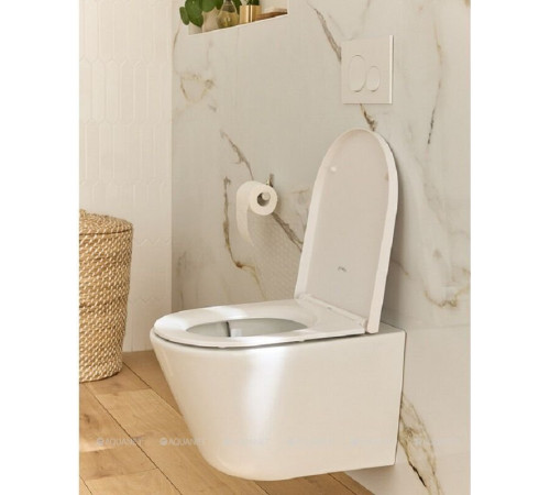 Унитаз подвесной Jacob Delafon Bastille 360 безободковый 54х37.4 см белый EDAS102-00