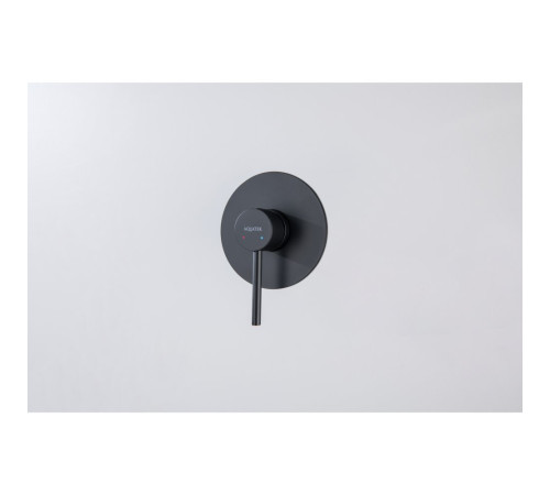 Смеситель для душа скрытого монтажа Aquanet Европа 1 режим матовый черный AQ1366MB