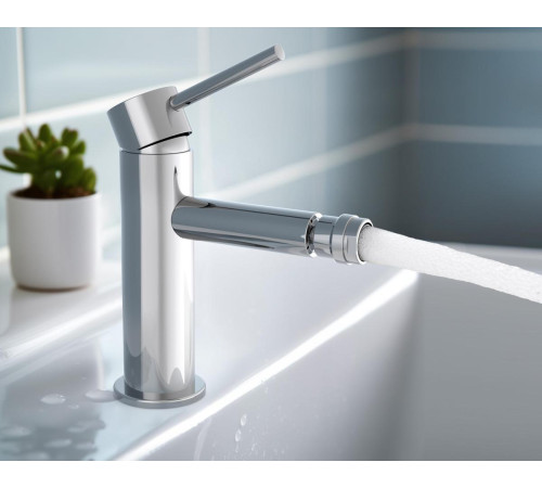 Смеситель для биде Aquanet Европа AQ1318CR хром AQ1318CR