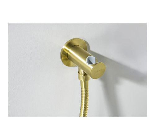 Шланговое подсоединение с держателем Aquanet AQ2464BG шлифованное золото AQ2464BG