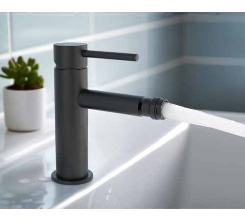 Смеситель для биде Aquanet Европа AQ1318MB матовый черный AQ1318MB