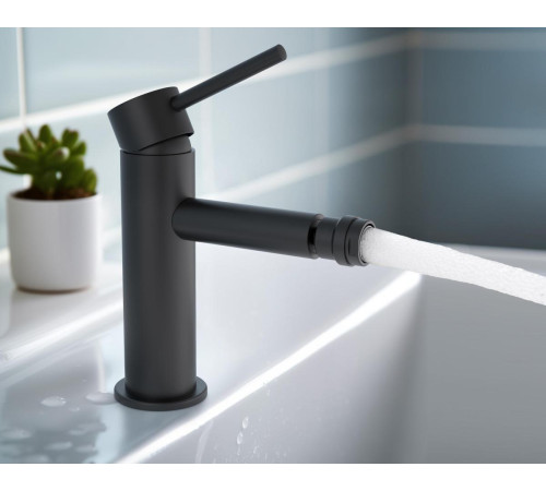 Смеситель для биде Aquanet Европа AQ1318MB матовый черный AQ1318MB