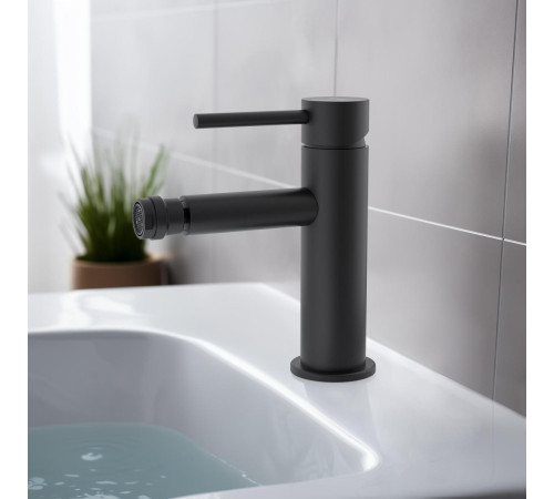 Смеситель для биде Aquanet Европа AQ1318MB матовый черный AQ1318MB