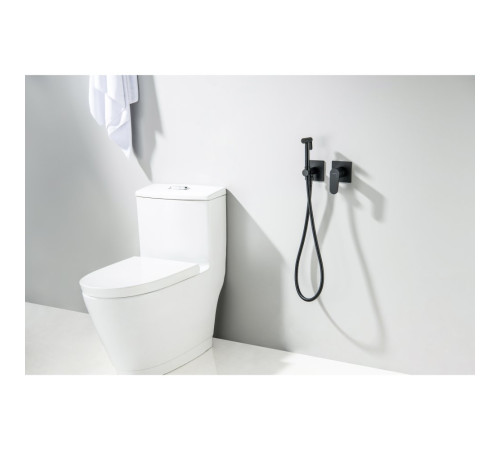 Комплект для гигиенического душа встроенный Aquanet Oberon матовый черный AQ1220MB