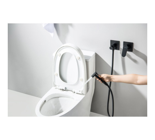 Комплект для гигиенического душа встроенный Aquanet Oberon матовый черный AQ1220MB