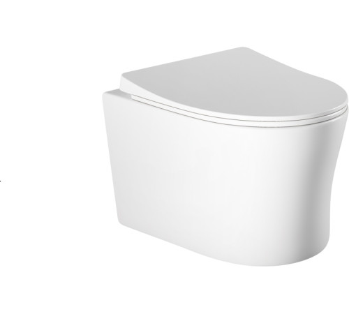 Унитаз подвесной Aquanet Ника безободковый с сиденьем микролифт 525х365х360 мм AQ2009-00