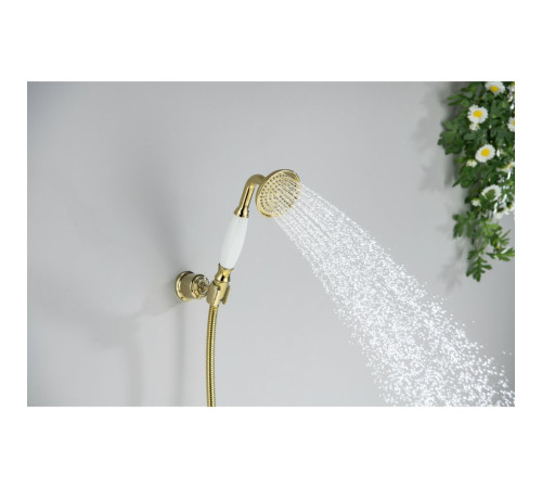 Ручной душ Aquanet Классик 65 1jet полированное золото AQ2008PG