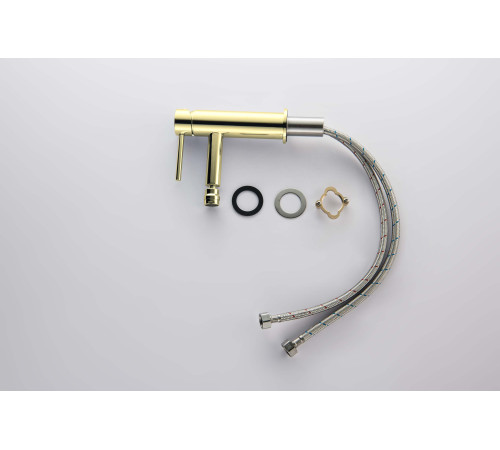 Смеситель для биде Aquanet Европа AQ1318BG шлифованное золото AQ1318BG