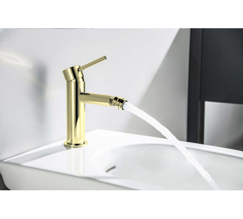 Смеситель для биде Aquanet Европа AQ1318BG шлифованное золото AQ1318BG