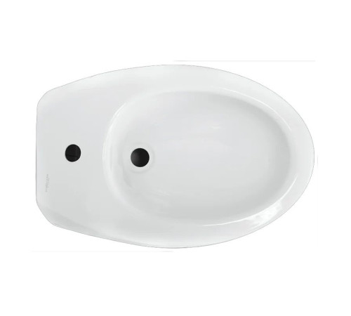 Биде подвесное Salini Ringo Белый BD.WH/Ringo/C/WHT.G/S1