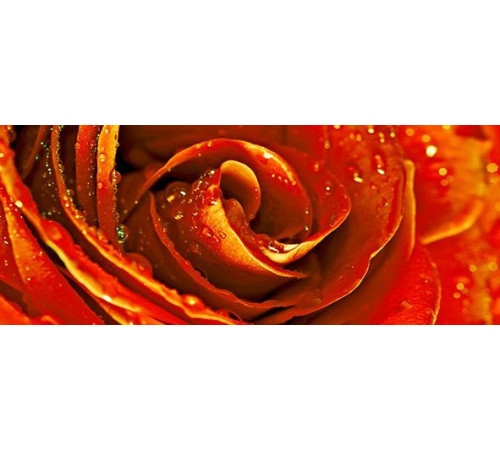 Декор Cerrol Syntia Rose 1 20х50 см 068620