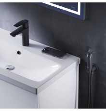 Смеситель для раковины AM.PM Gem с гигиеническим душем черный F90A03022