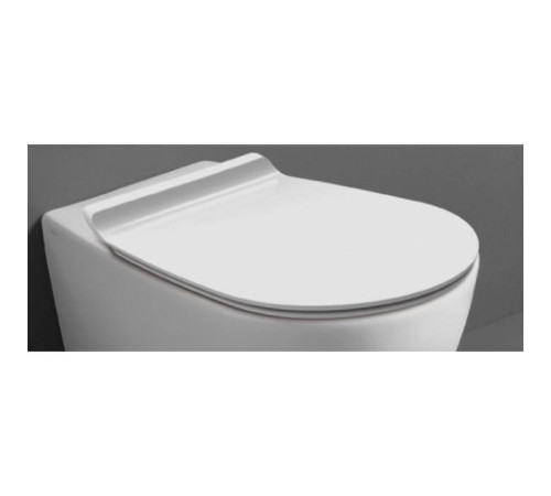 Сиденье для унитаза Simas Bormio микролифт белое BR006bi/cr