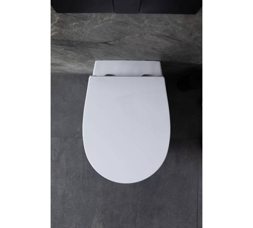 Чаша приставного унитаза Allen Brau Fantasy белый 4.11007.20