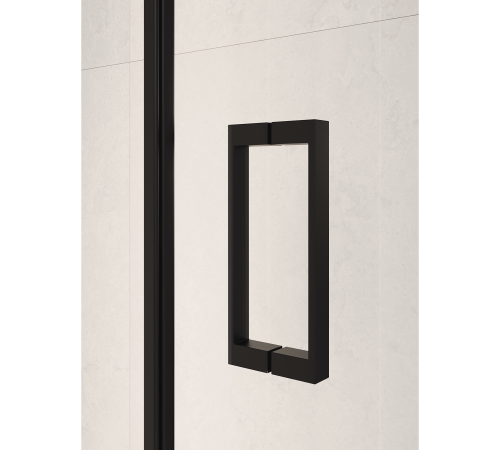 Душевая дверь RGW Passage PA-104B 1200 мм маятниковая черный 060810412-14