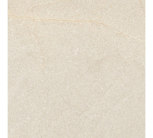 Керамогранит Laparet Newport Grey 60х60 см Карвинг х9999289620