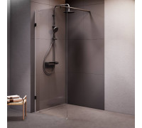 Душевая перегородка AM.PM Walk In 80x195 см W94WI-80-F1-BTE