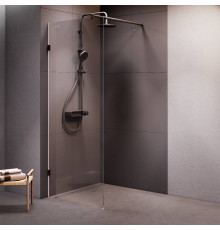 Душевая перегородка AM.PM Walk In 80x195 см W94WI-80-F1-BTE