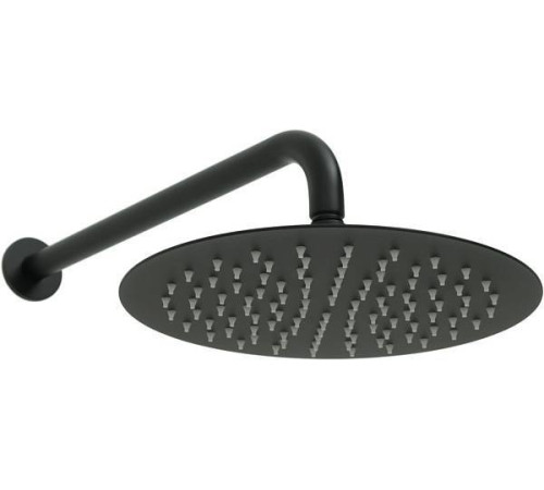 Верхний душ Allen Brau Priority черный матовый 5.31017-31