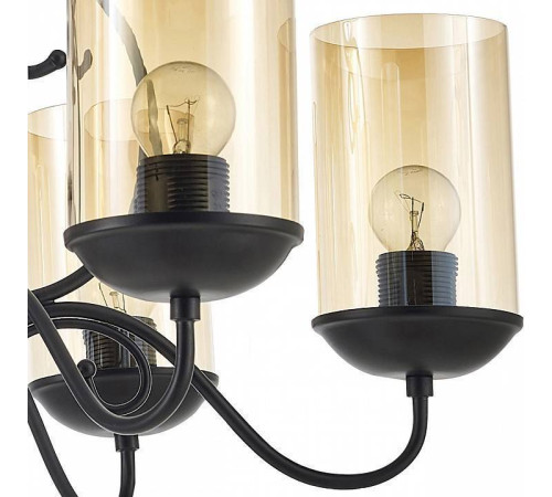 Подвесная люстра Arti Lampadari Gardena Gardena E 1.1.6 B