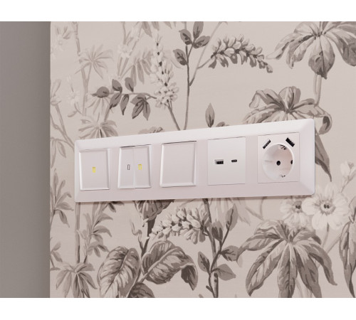 Клавиши для выключателя двухклавишного Ambrella Volt Quant AP2030