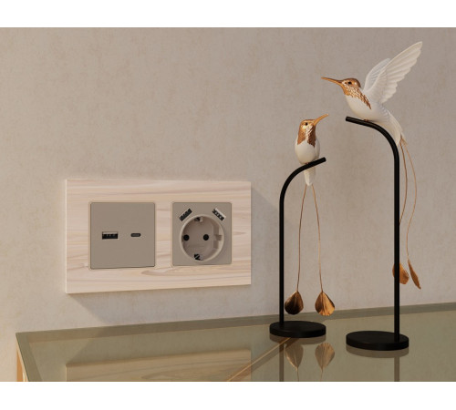 Накладка для розетки с заземлением и со шторками и 2хUSB type A Ambrella Volt Quant AP3690