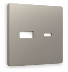 Накладка для розетки type A и C Ambrella Volt Quant AP3710