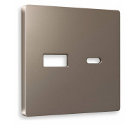 Накладка для розетки type A и C Ambrella Volt Quant AP6410