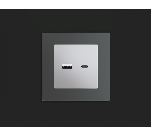 Розетка 2хUSB type A и C без рамки Ambrella Volt Quant MA411010