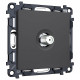 ТВ-розетка без рамки Ambrella Volt ALFA MA913050
